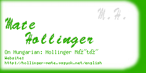 mate hollinger business card